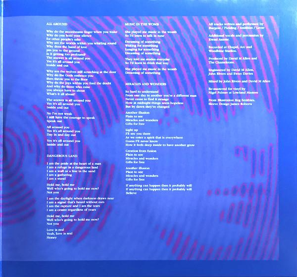 Chameleons - Why Call It Anything - Double Lp