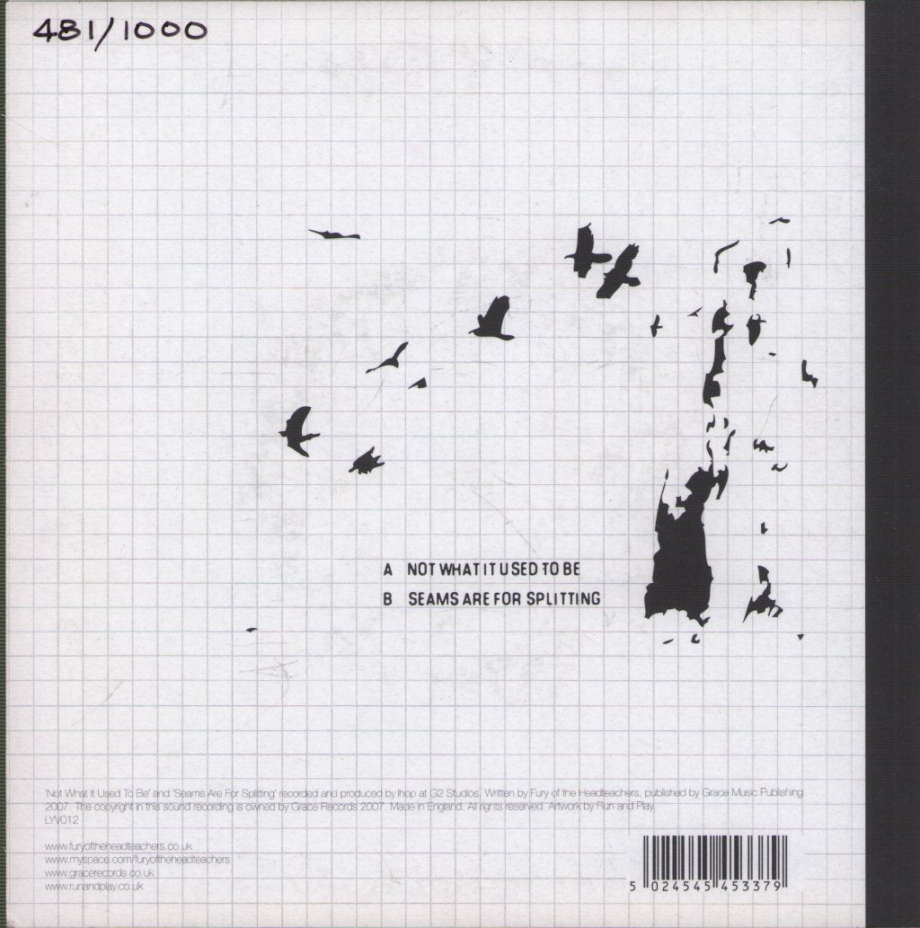 Fury Of The Headteachers - Not What It Used To Be - 7 Inch