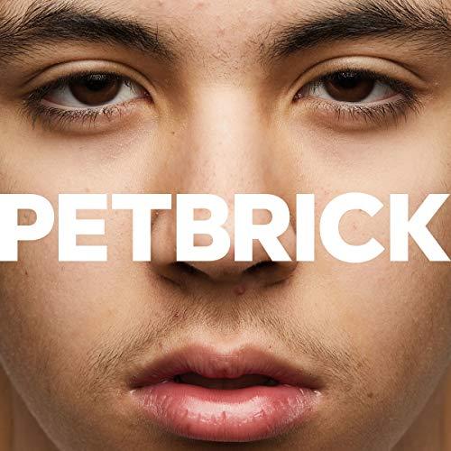 Petbrick - I (Black) (Clear Vinyl) - Lp