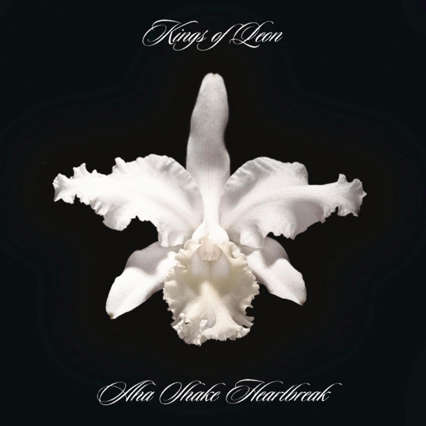 Kings Of Leon - Aha Shake Heartbreak - Double Lp