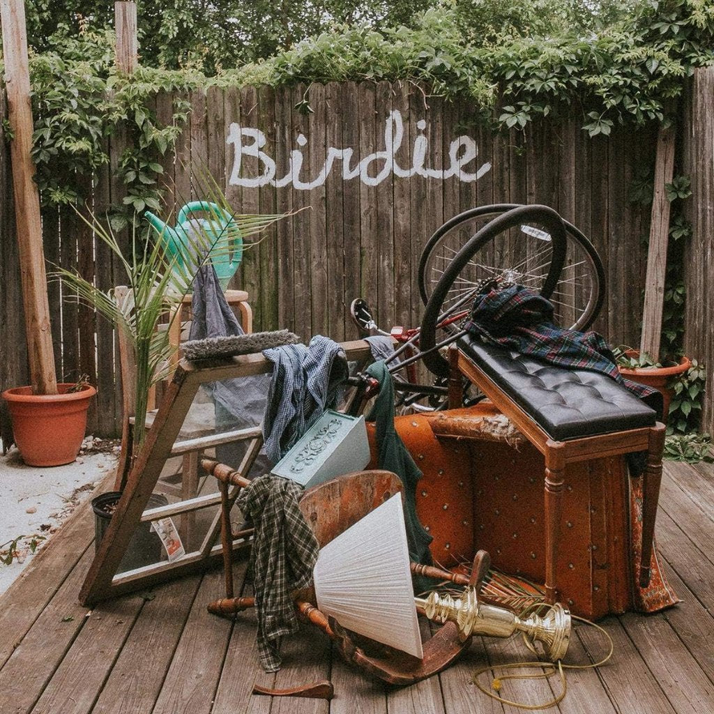 Slaughter Beach, Dog - Birdie - Lp
