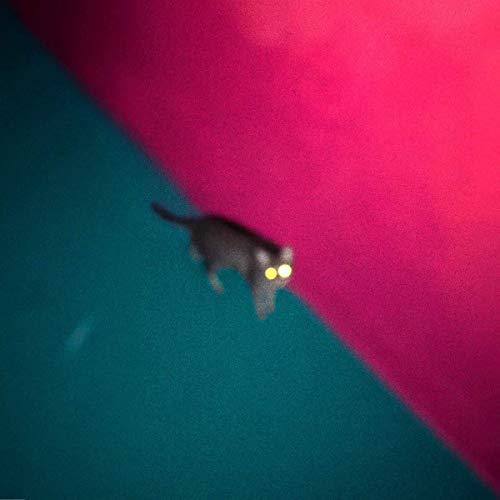 Chk Chk Chk !!! - Wallop - Cd