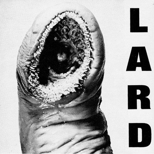 Lard - Power of Lard - 12 Inch