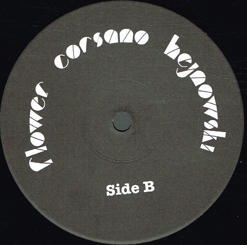 Flower Corsano Hejnowski - Count Visits - Lp