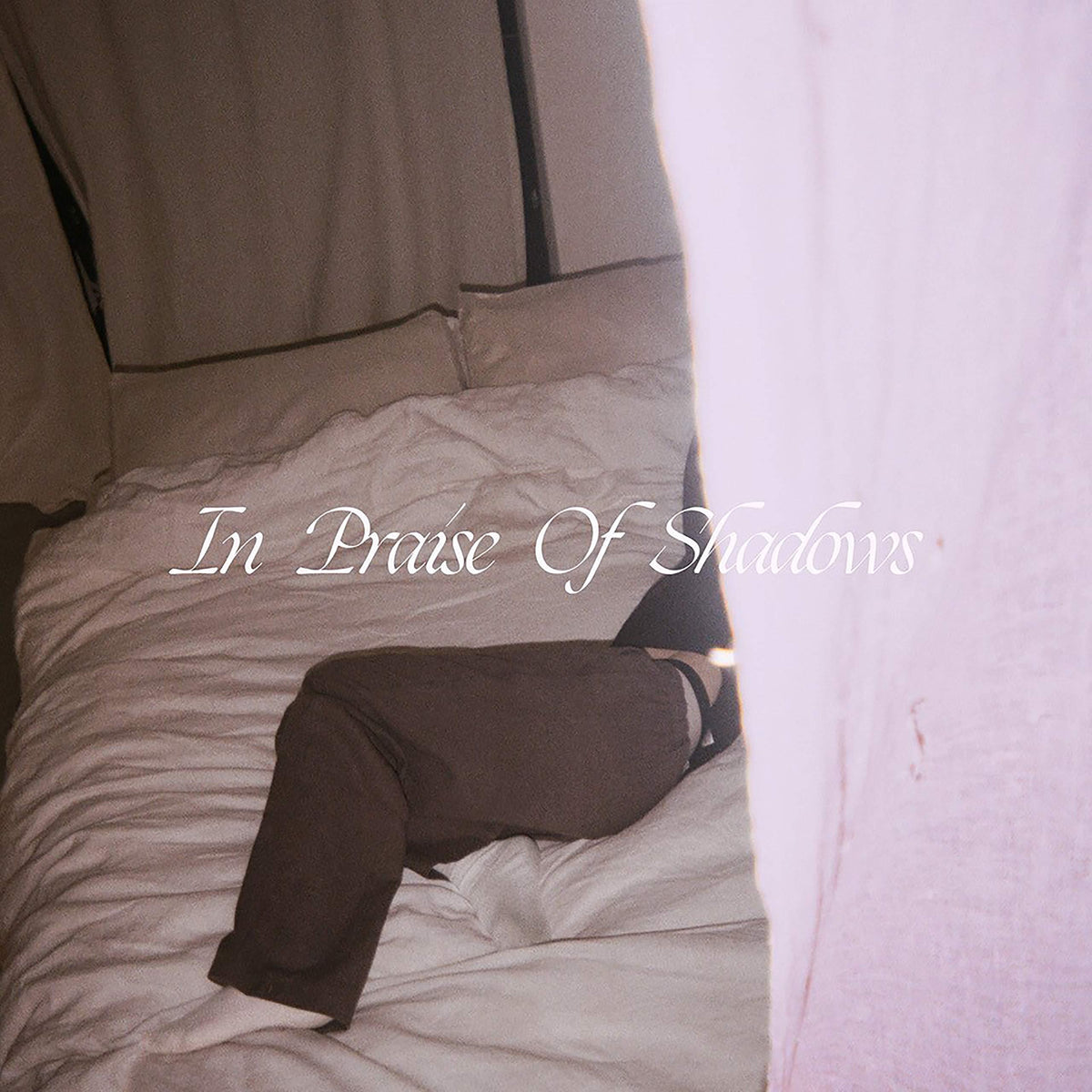 Puma Blue - In Praise of Shadows - Double Lp