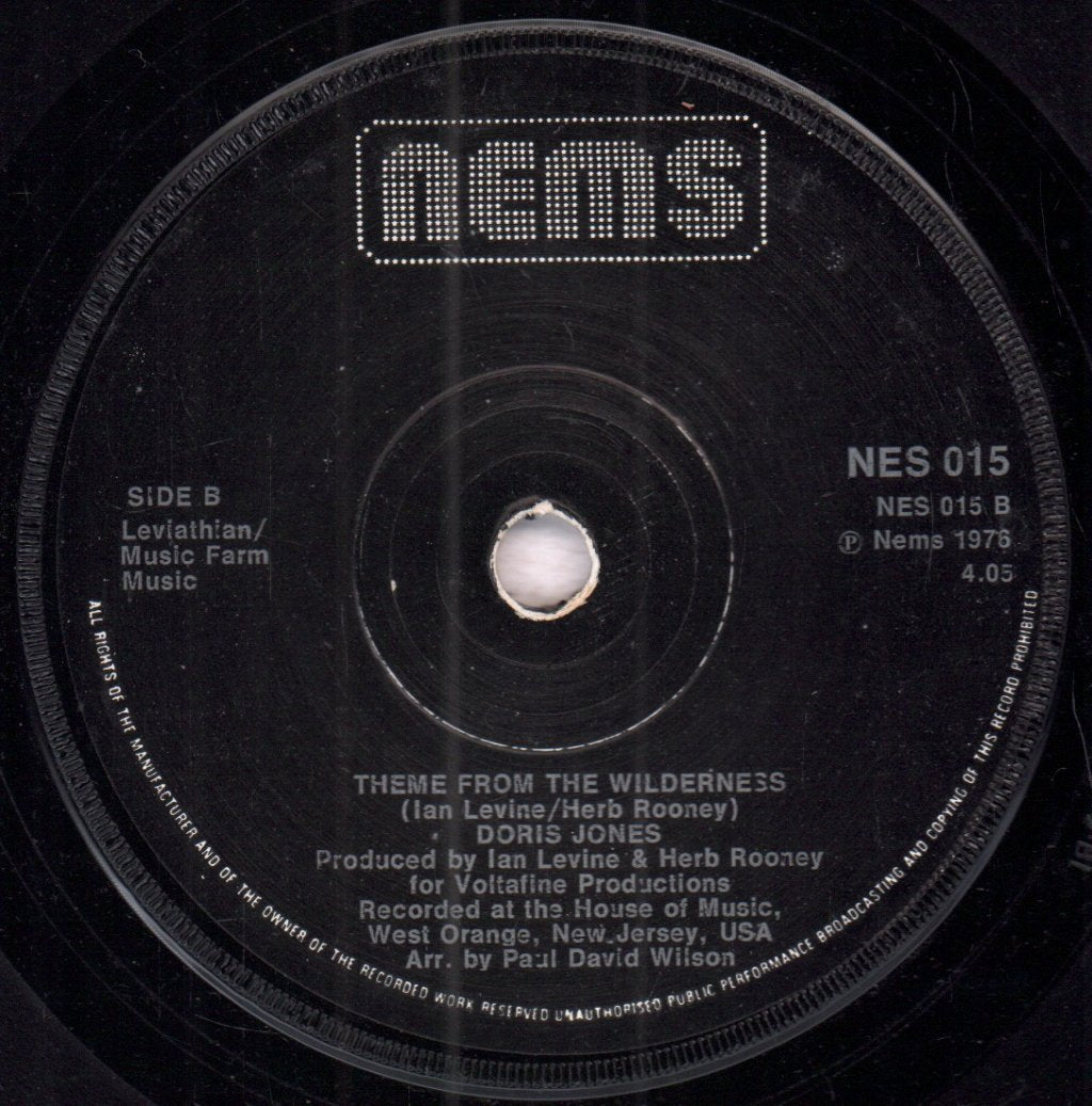 Doris Jones - Stranded In The Wilderness - 7 Inch
