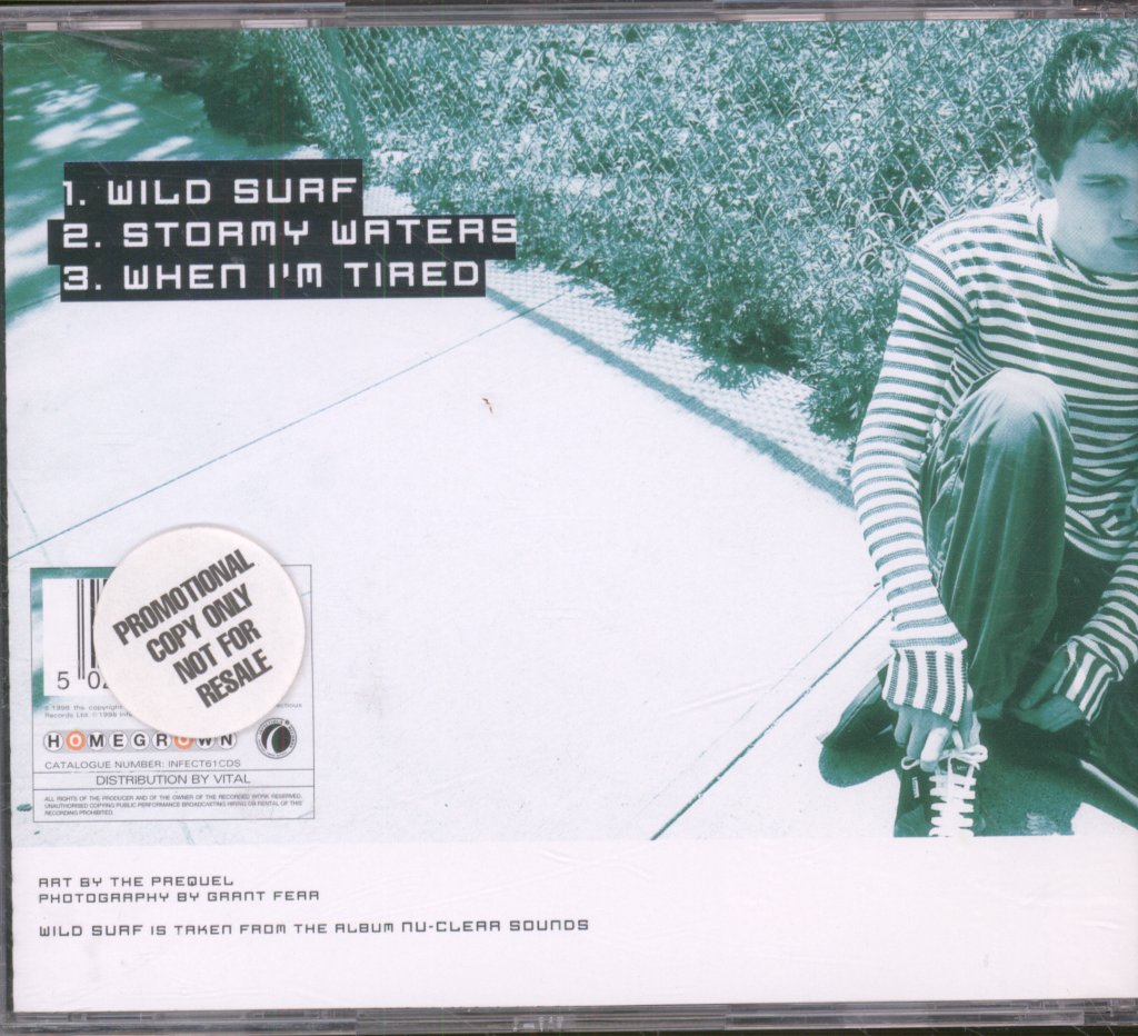 Ash - Wild Surf - Cd