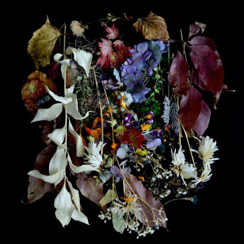 Paws - Your Church On My Bonfire - Lp