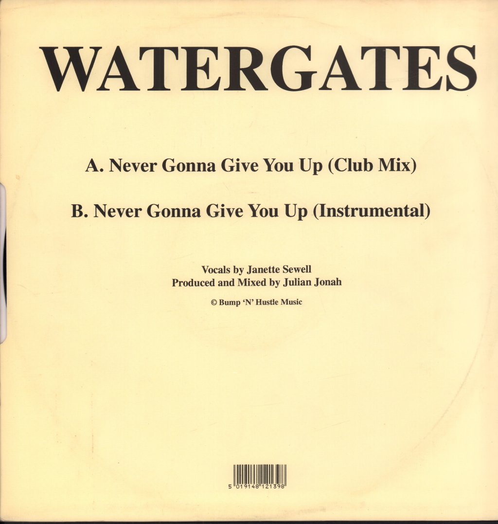 Watergates - Never Gonna Give You Up - 12 Inch