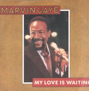 Marvin Gaye - My Love Is Waiting - 12 Inch