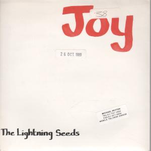 Lightning Seeds - Joy - 7 Inch
