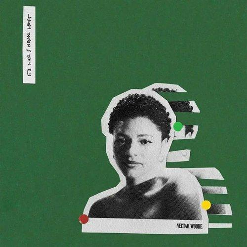 Nectar Woode - It's Like I Never Left - 12 Inch