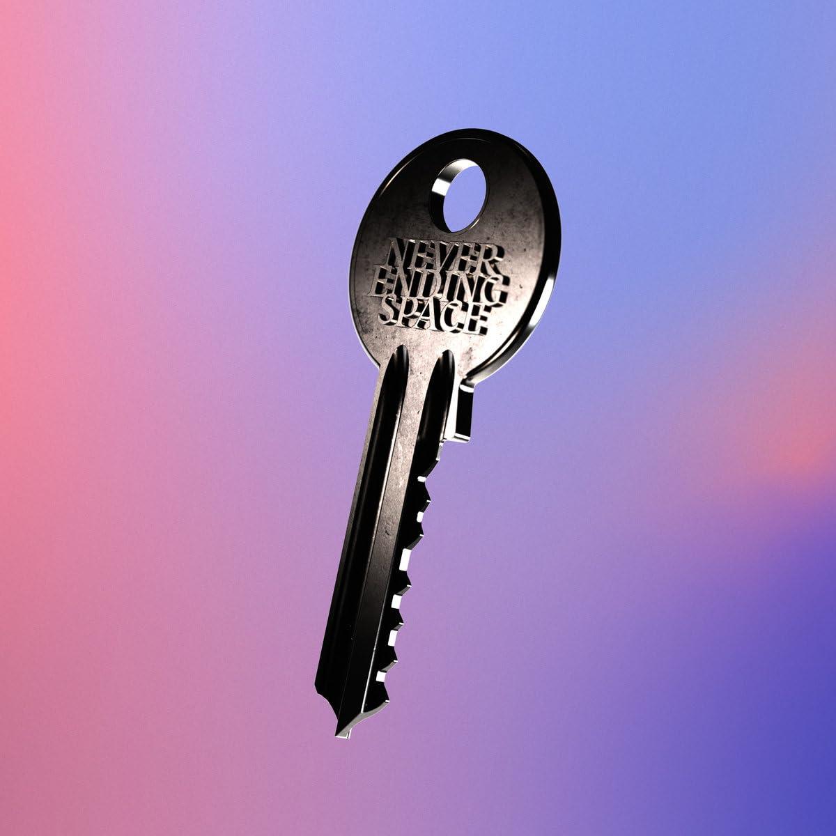 Chain Of Flowers - Never Ending Space - Cd