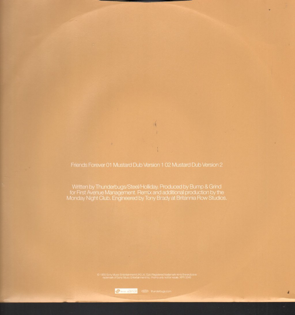 Thunderbugs - Friends Forever - 12 Inch