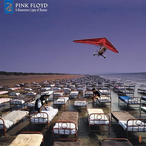 Pink Floyd - A Momentary Lapse of Reason - Double Cd