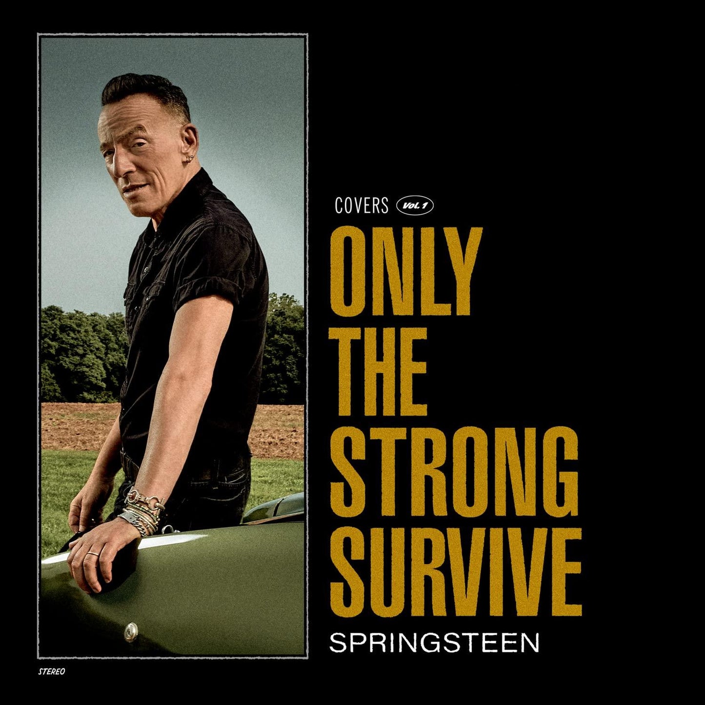Bruce Springsteen - Only the Strong Survive (Covers Vol. 1) - Double Lp