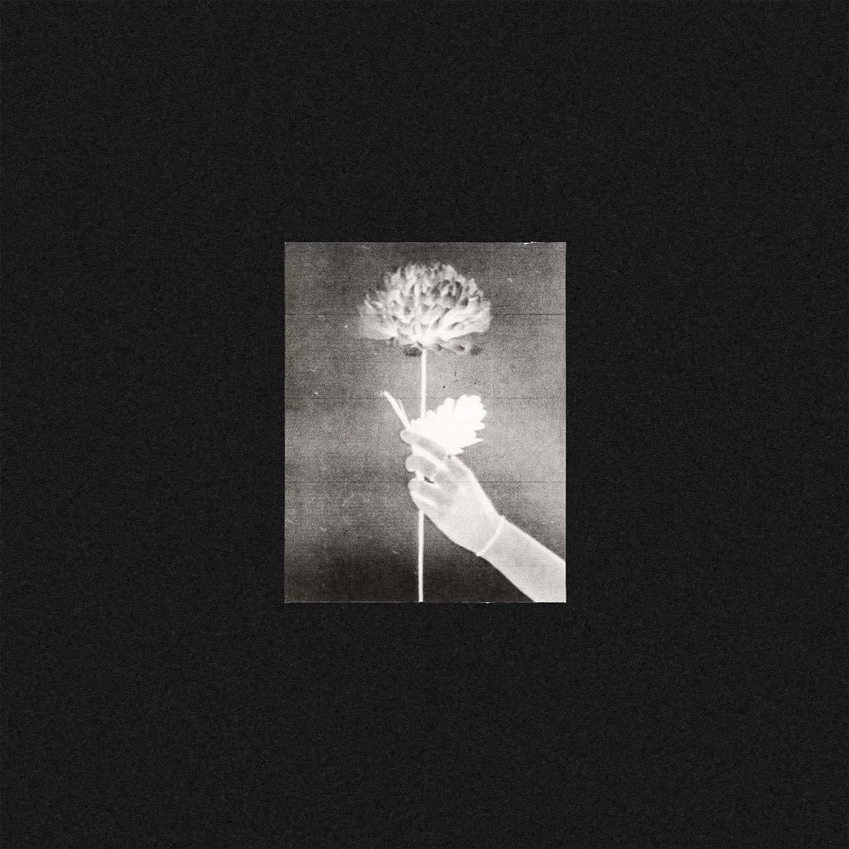 White Flowers - Day By Day - Cd