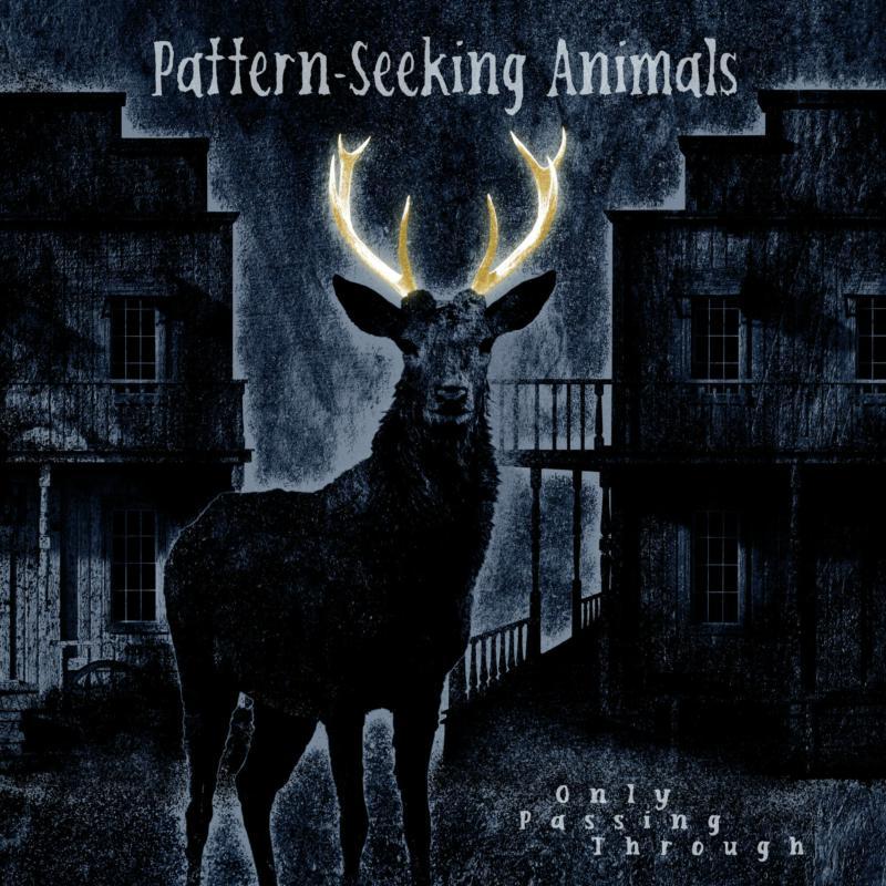 Pattern-Seeking Animals - Only Passing Through (Gatefold Black 2lp Cd) - Triple Lp