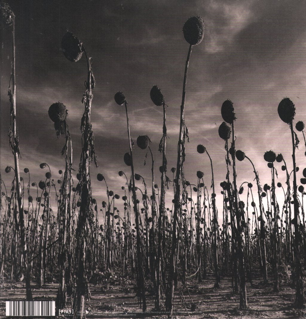 Dead Can Dance - Anastasis - Double Lp