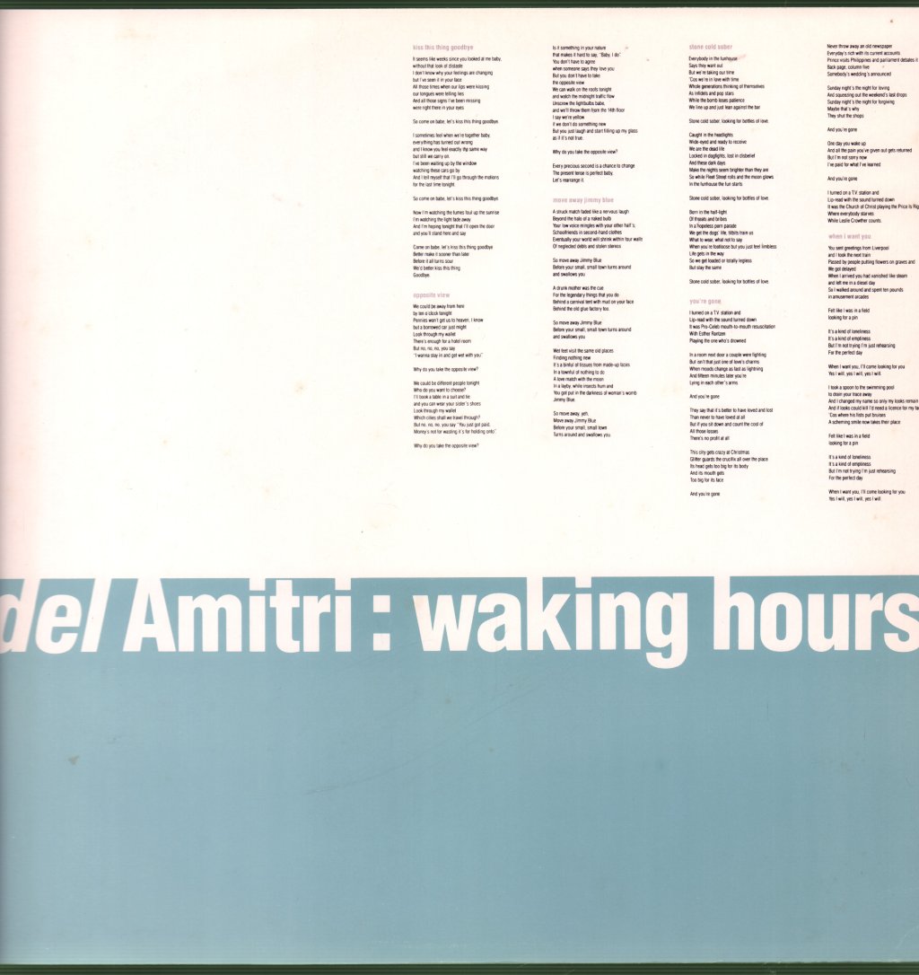 Del Amitri - Waking Hours - Lp
