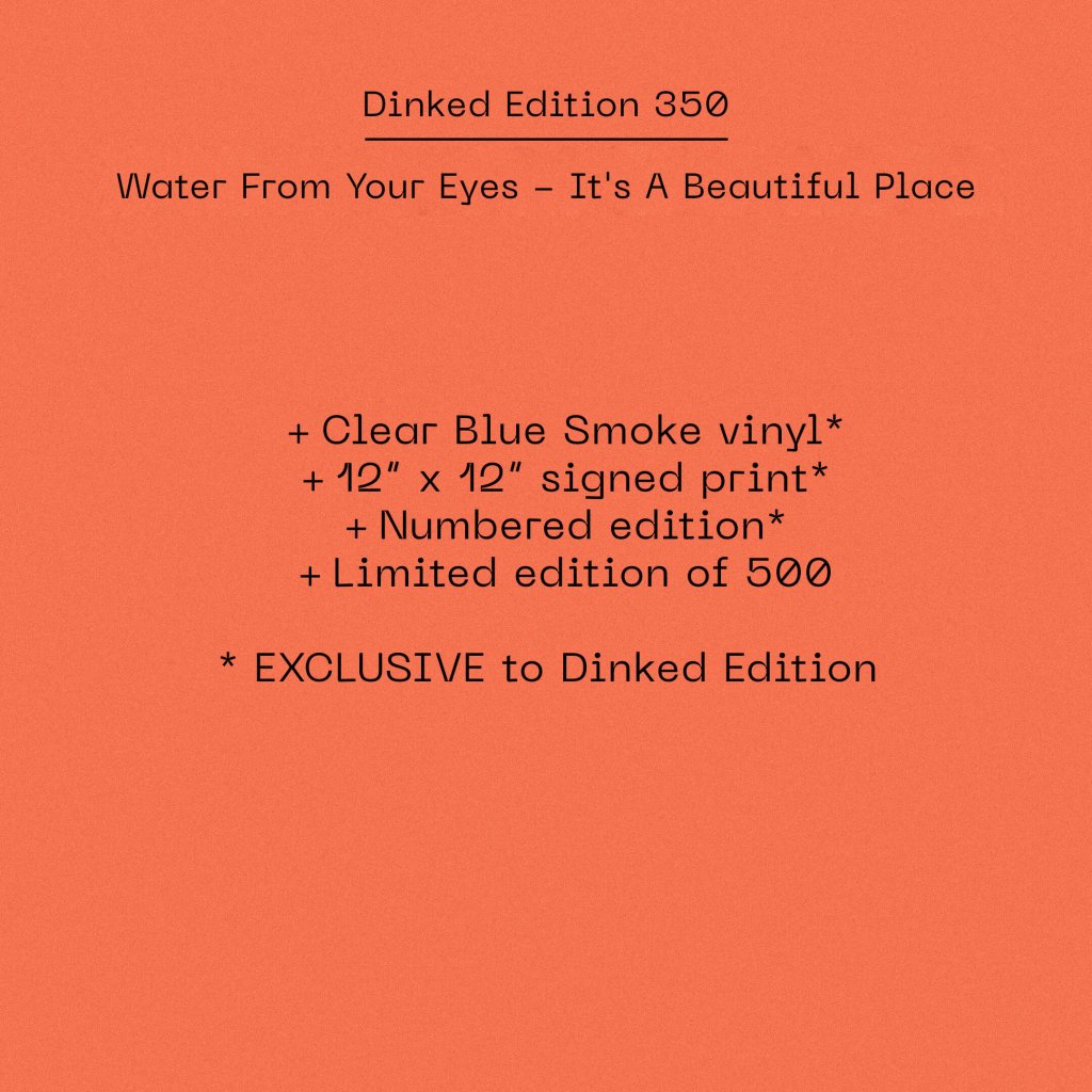 Water From Your Eyes - It's A Beautiful Place (Dinked Edition #350) - Lp