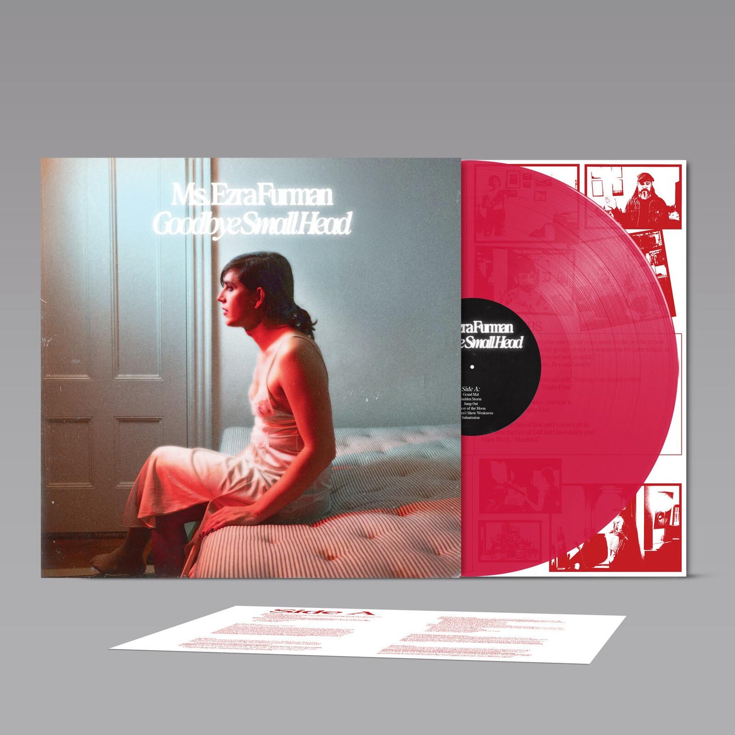 Ezra Furman - Goodbye Small Head - Lp