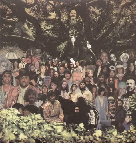 Devendra Banhart - Cripple Crow - Double Lp