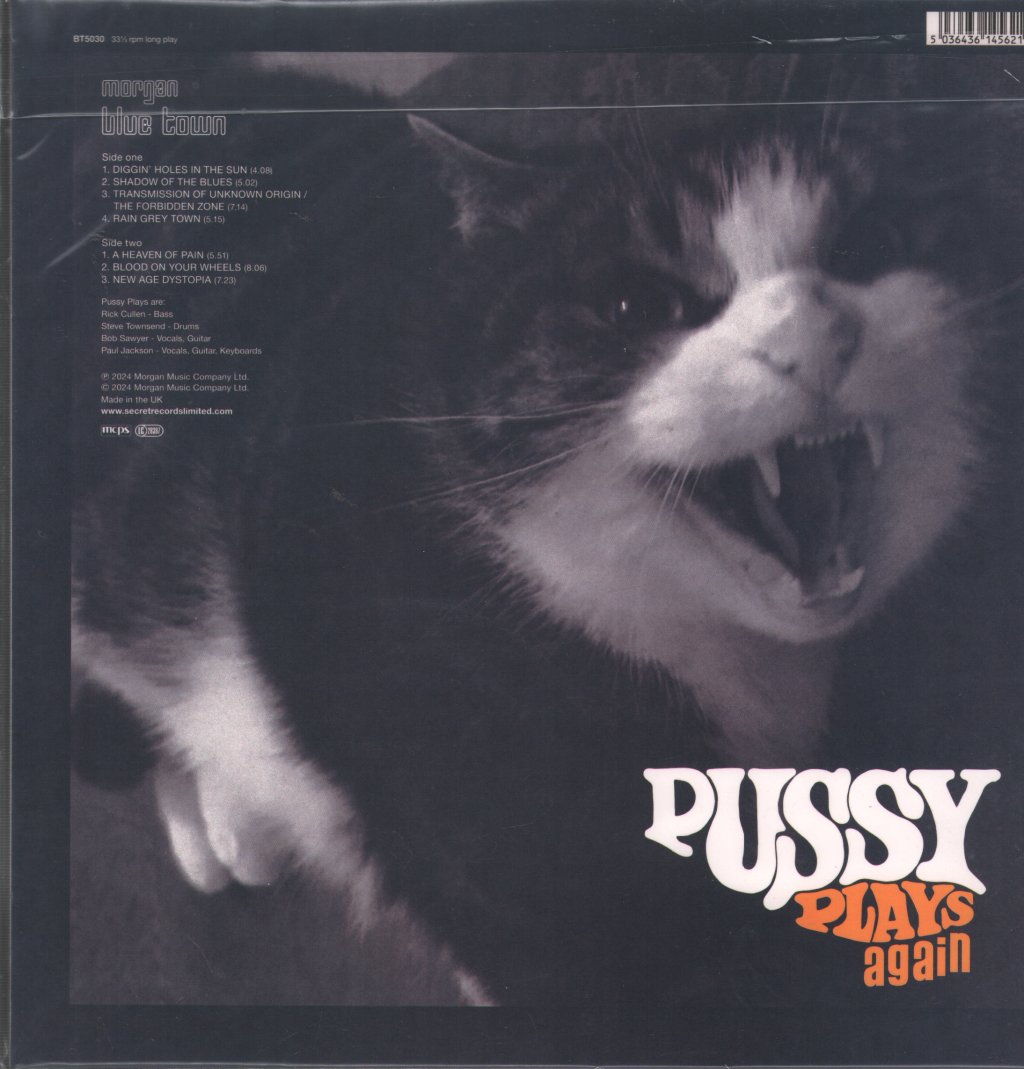 Pussy - Pussy Plays Again - Lp