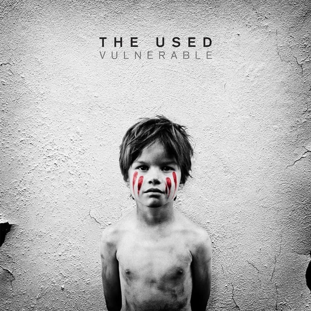 Used - Vulnerable (Grey Vinyl) - Lp