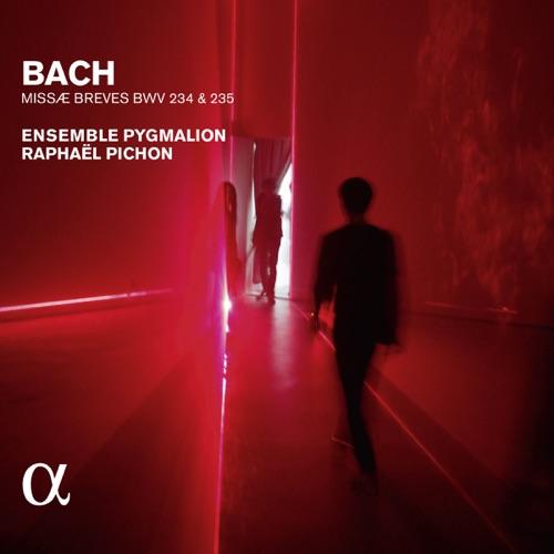 Ensemble Pygmalion - J.s Bach: Missae Breves Bwv 234 & 235 - Cd