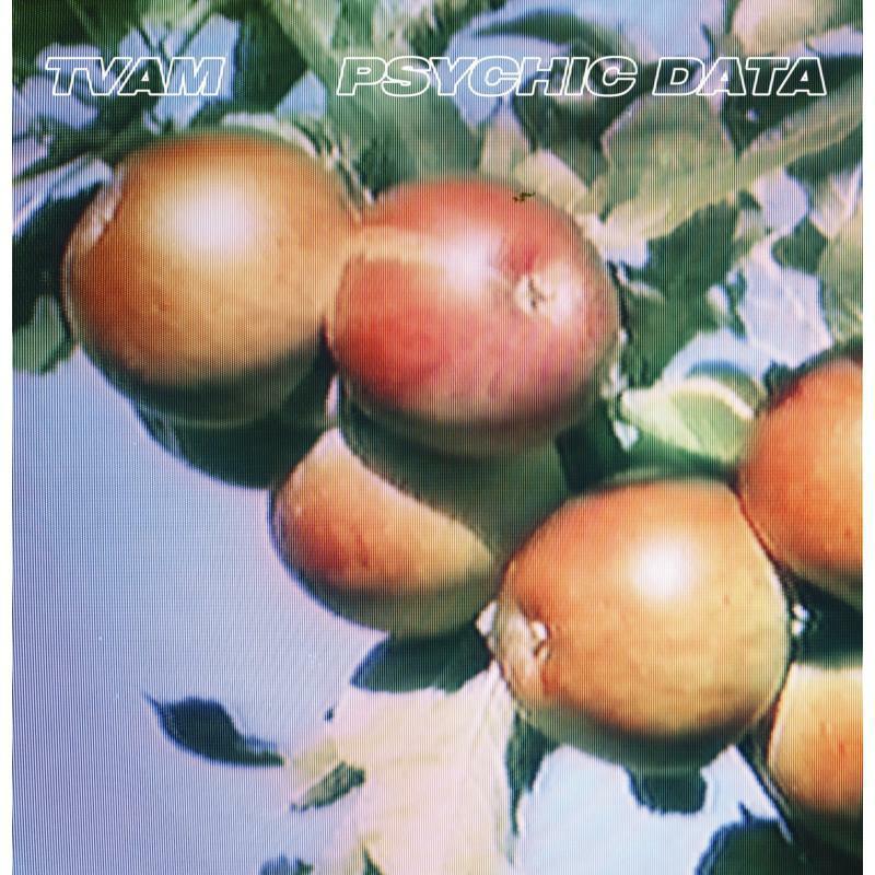 TVAM - Psychic Data - Cd