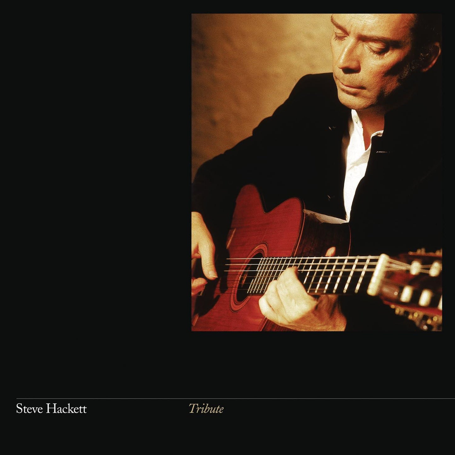 Steve Hackett - Tribute - Lp