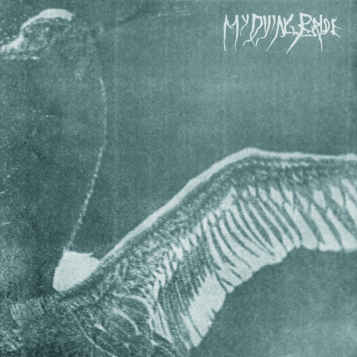 My Dying Bride - Turn Loose the Swans (30th Anniversary Marble Vinyl Edition) - Lp