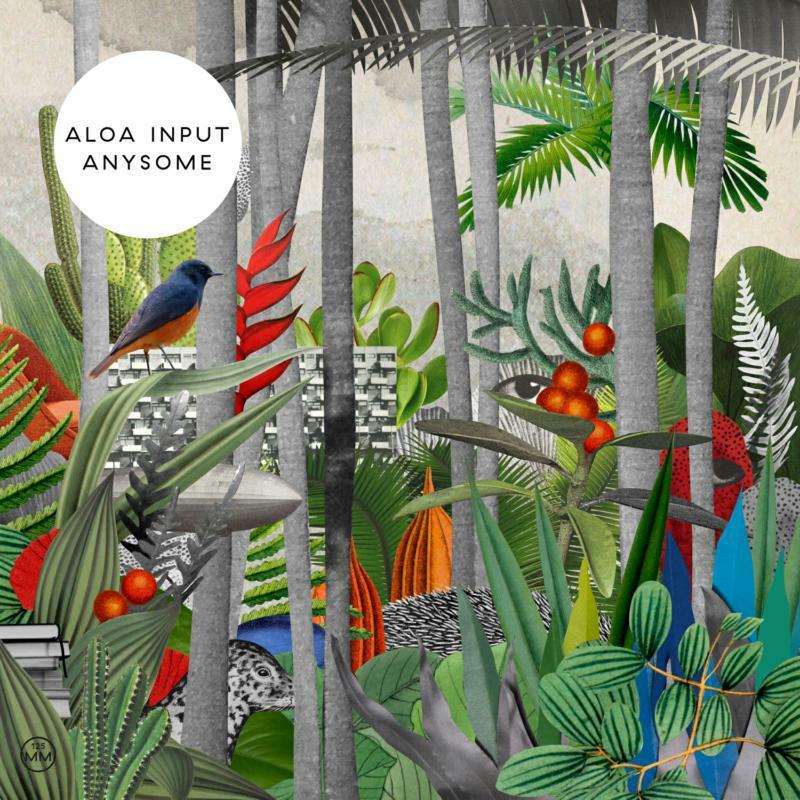 Aloa Input - Anysome - Cd