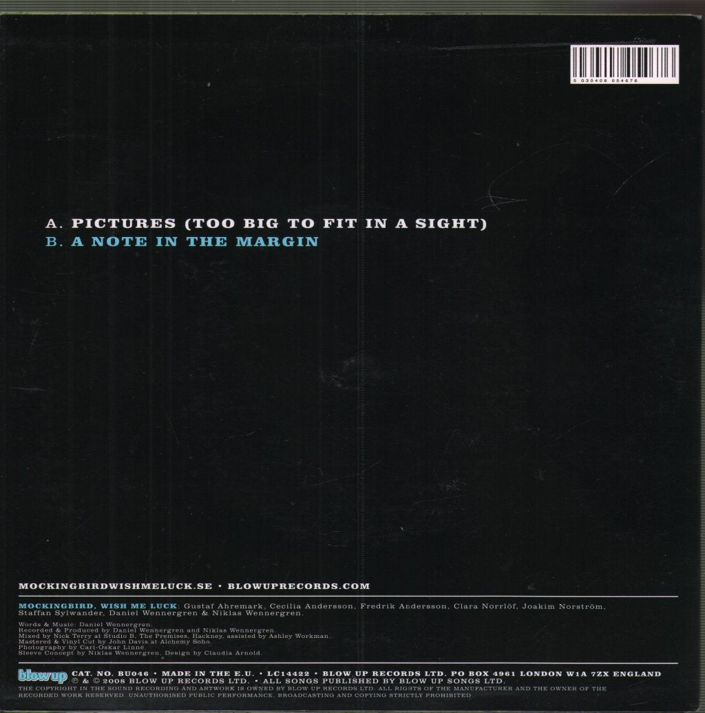 Mockingbird, Wish Me Luck - Pictures (Too Big To Fit In A Sight) - 7 Inch