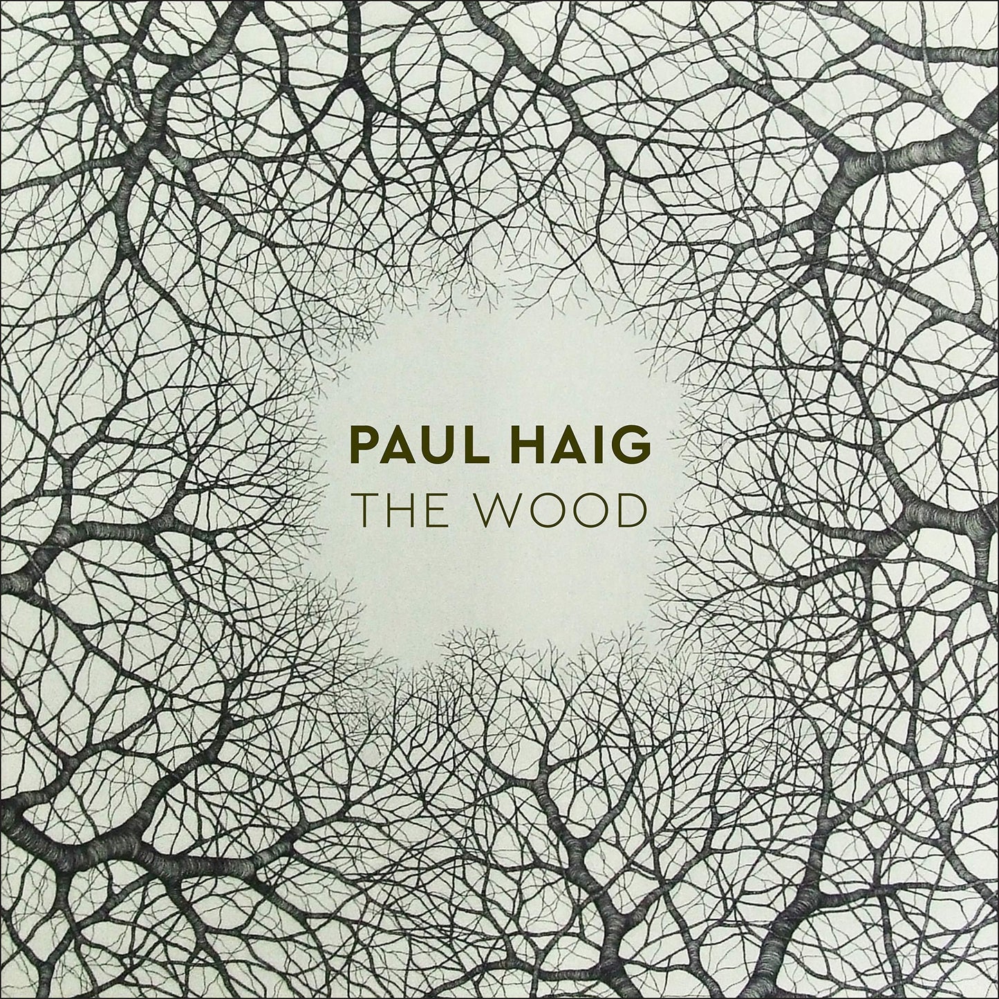 Paul Haig - Wood - Lp