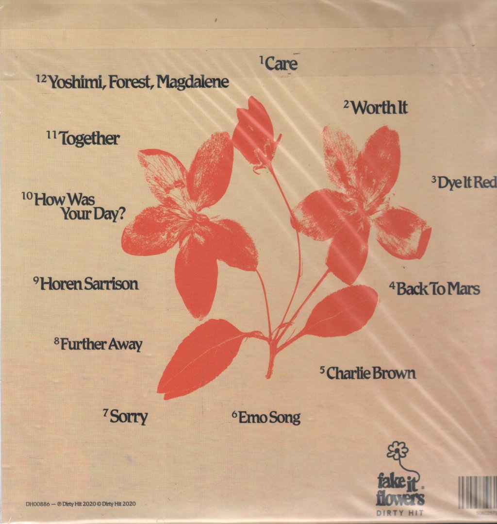 Beabadoobee - Fake It Flowers - Lp