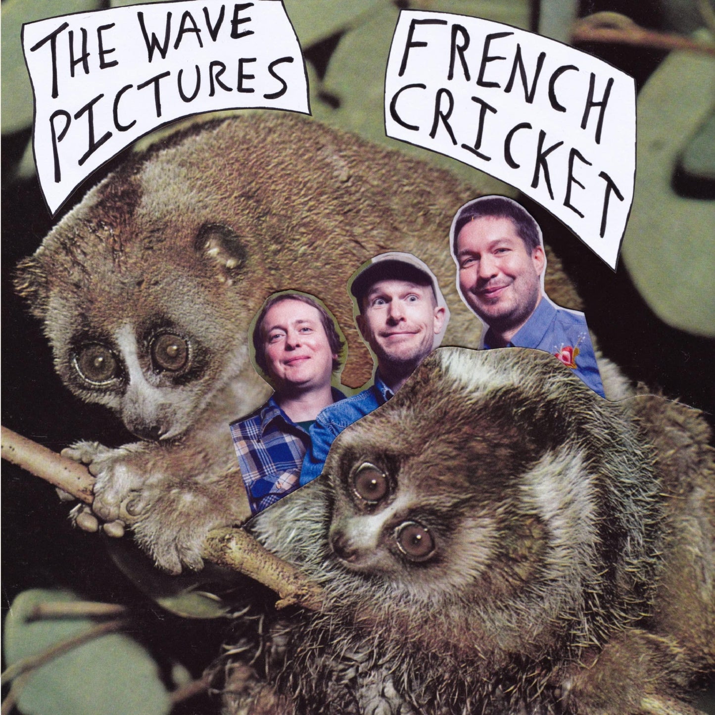 Wave Pictures - French Cricket - Double 7 Inch
