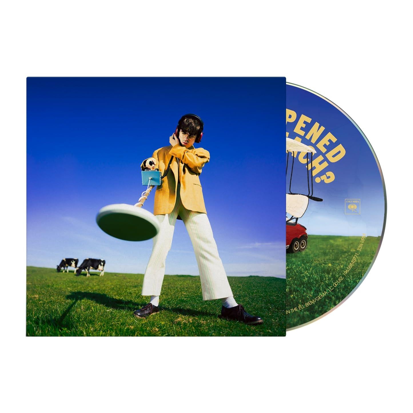 Declan Mckenna - What Happened To the Beach? - Cd