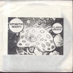 Antiseptic Beauty - Truth Is I Lied - 7 Inch