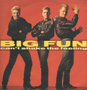 Big Fun - Can't Shake The Feeling - 12 Inch
