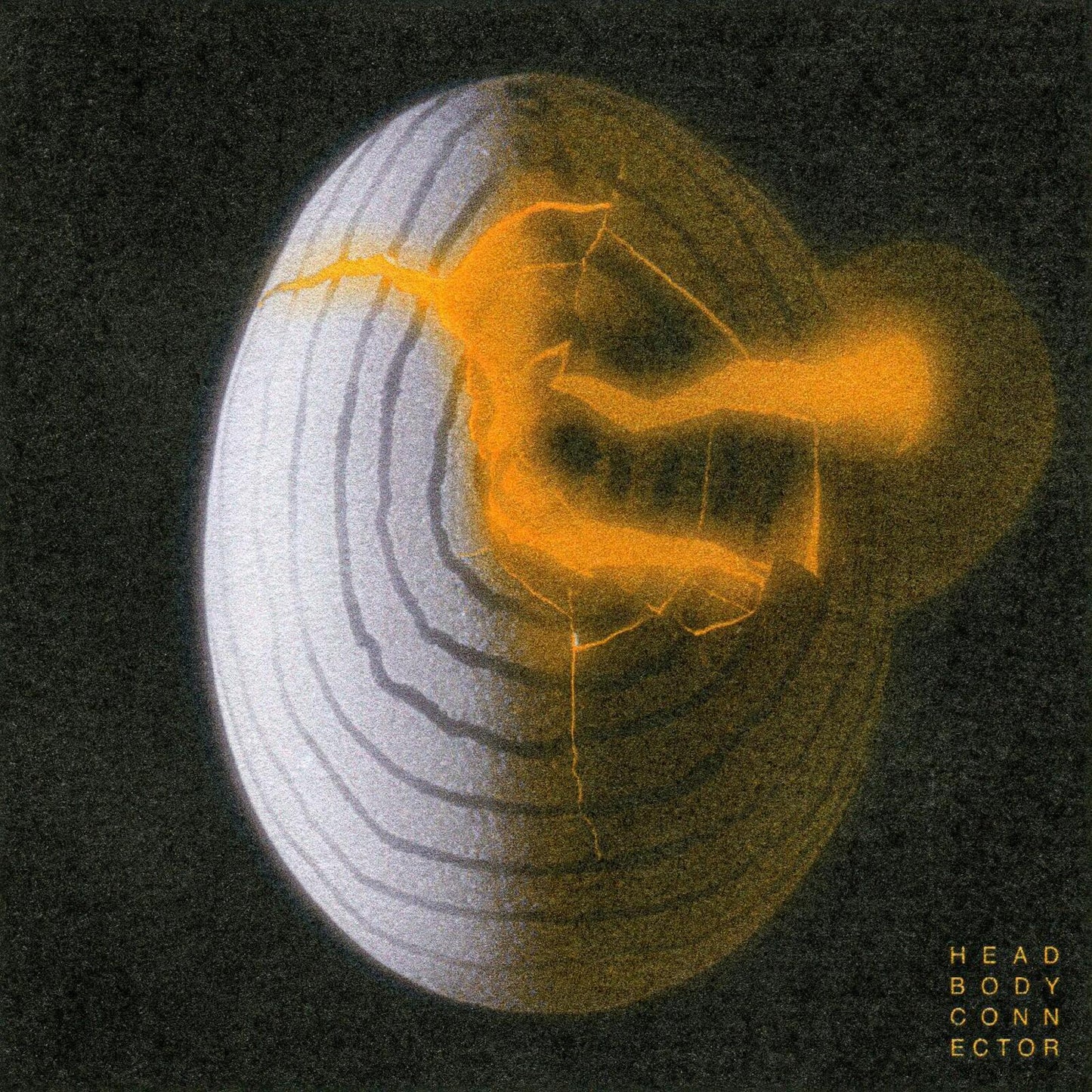 Psymon Spine - Head Body Connector - Lp