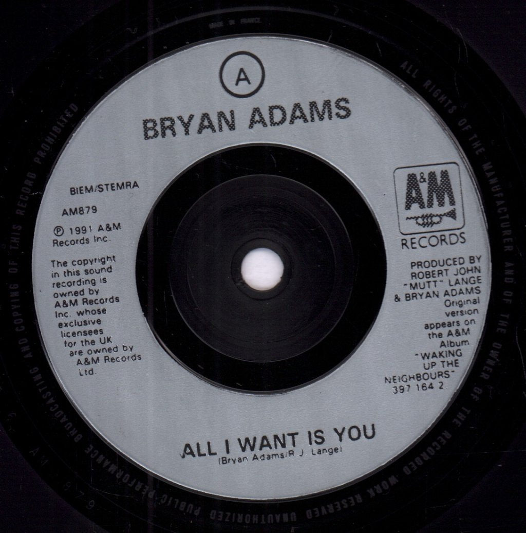 Bryan Adams - All I Want Is You - 7 Inch
