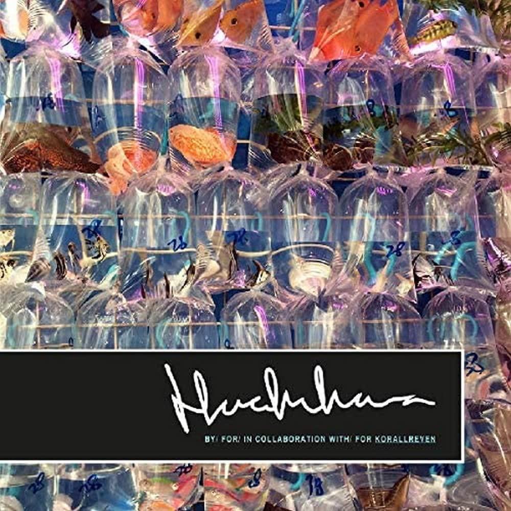 Korallreven - Here In Iowa Remix EP - 12 Inch