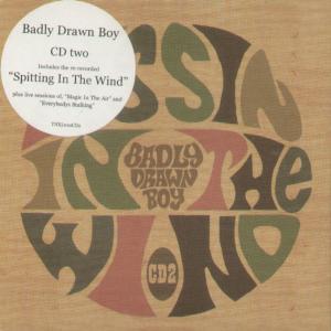 Badly Drawn Boy - Spitting In The Wind - Cd