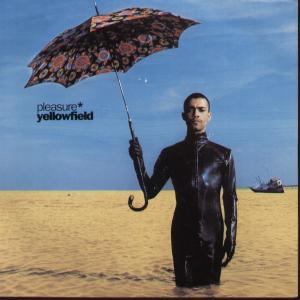 Pleasure (2000'S Group) - Yellowfield - 7 Inch