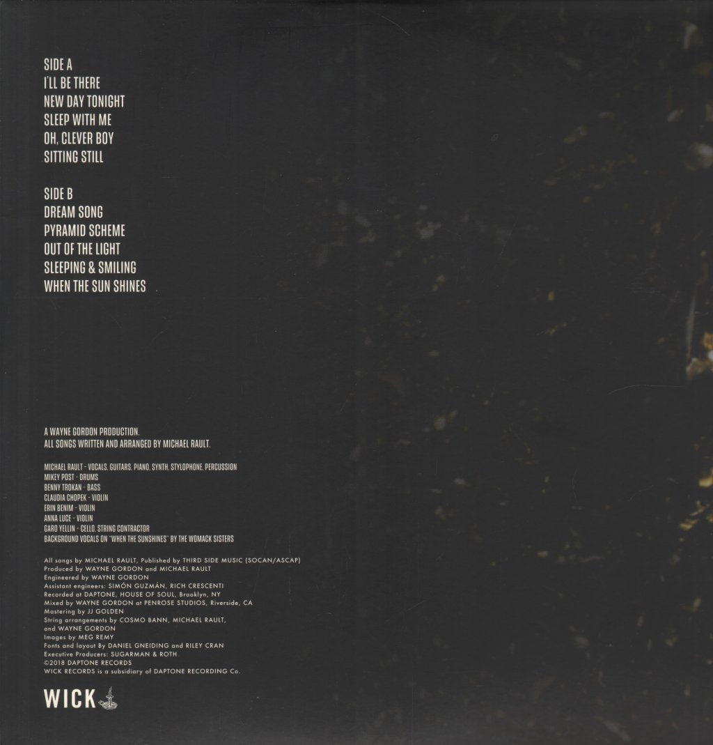 Michael Rault - It's A New Day Tonight - Lp