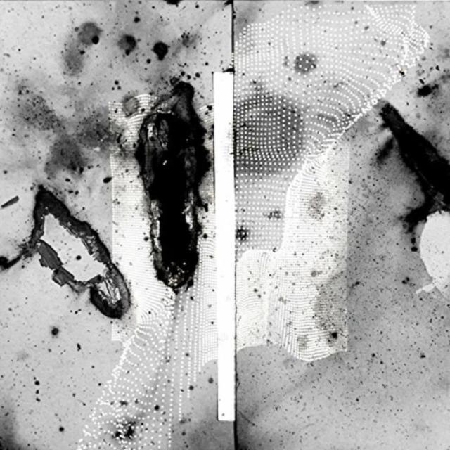 Certain Creatures - Vipassana - Double Lp