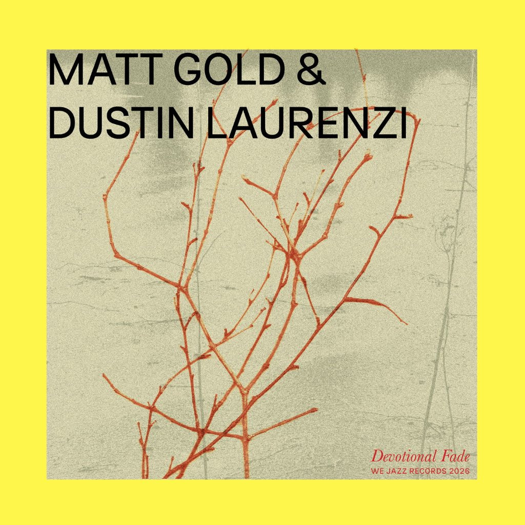 Matt Gold & Dustin Laurenzi - Devotional Fade - Lp