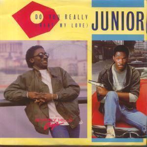 Junior - Do You Really Want My Love - 7 Inch
